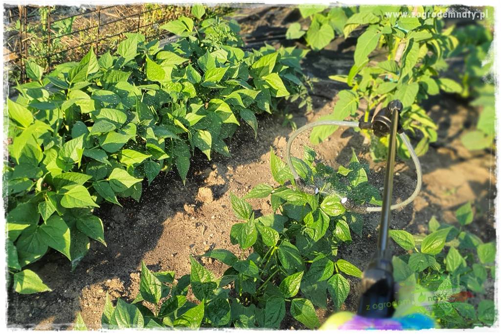 końcówki do opryskiwacza 34