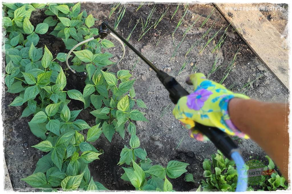 końcówki do opryskiwacza 35