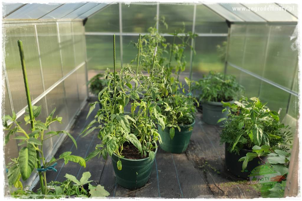 końcówki do opryskiwacza 4