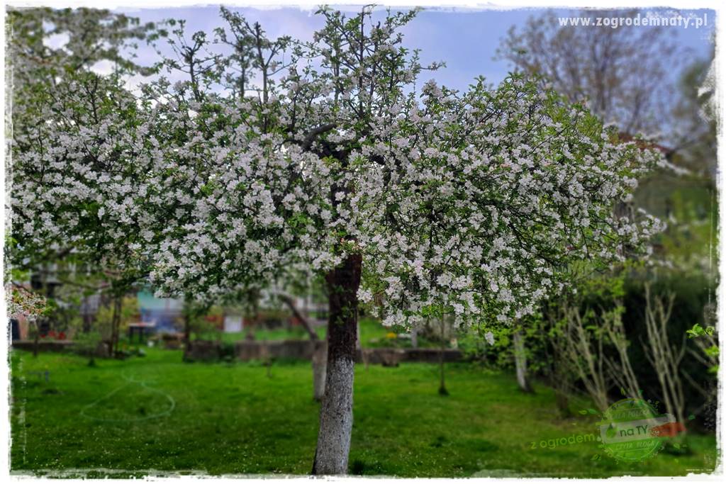 końcówki do opryskiwacza 47