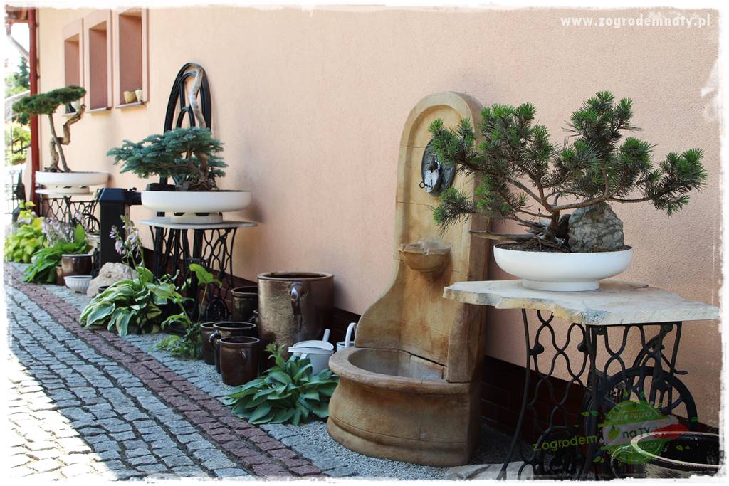 ogród polsko japoński 10