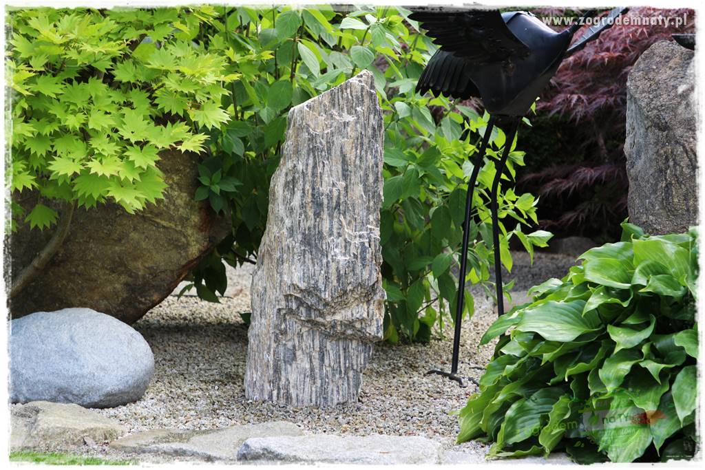ogród polsko japoński 106