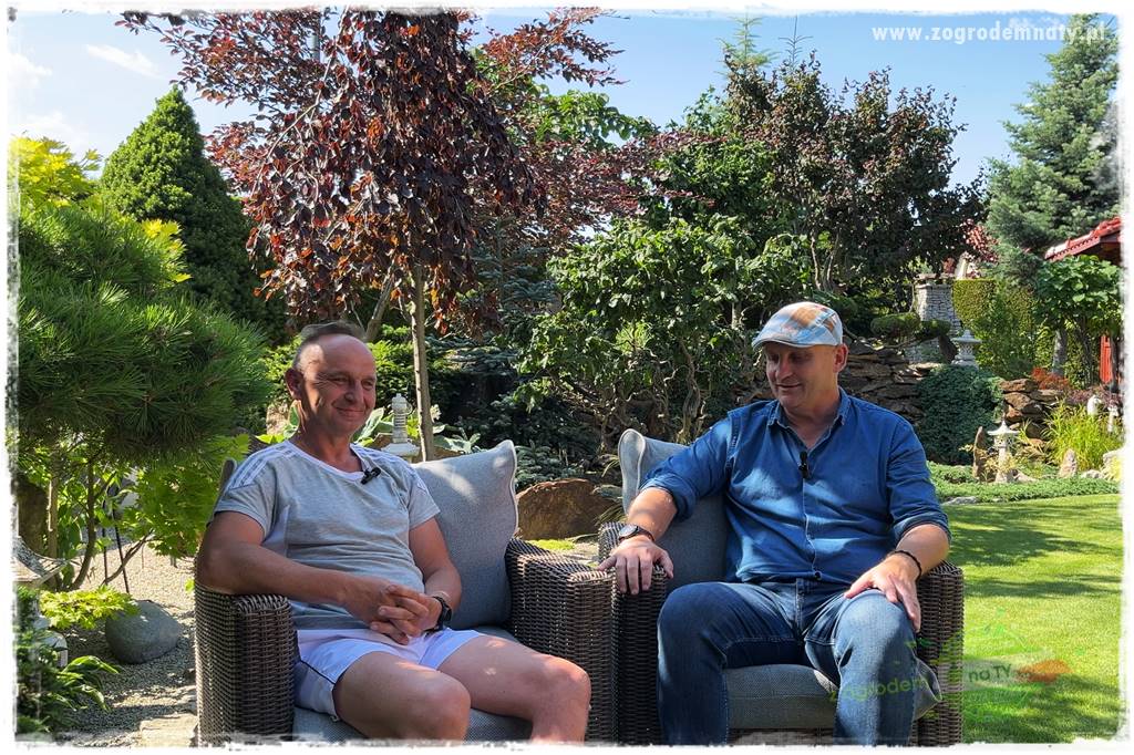 ogród polsko japoński 16a