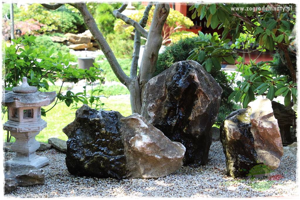 ogród polsko japoński 201