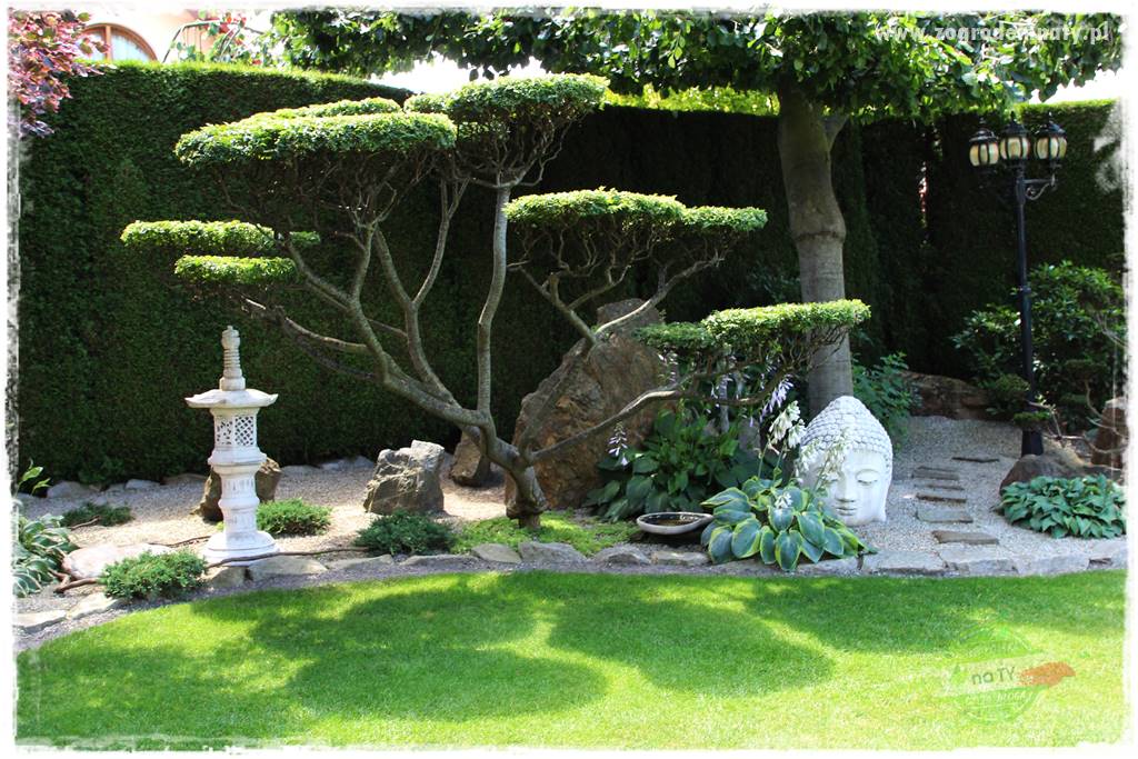 ogród polsko japoński 202