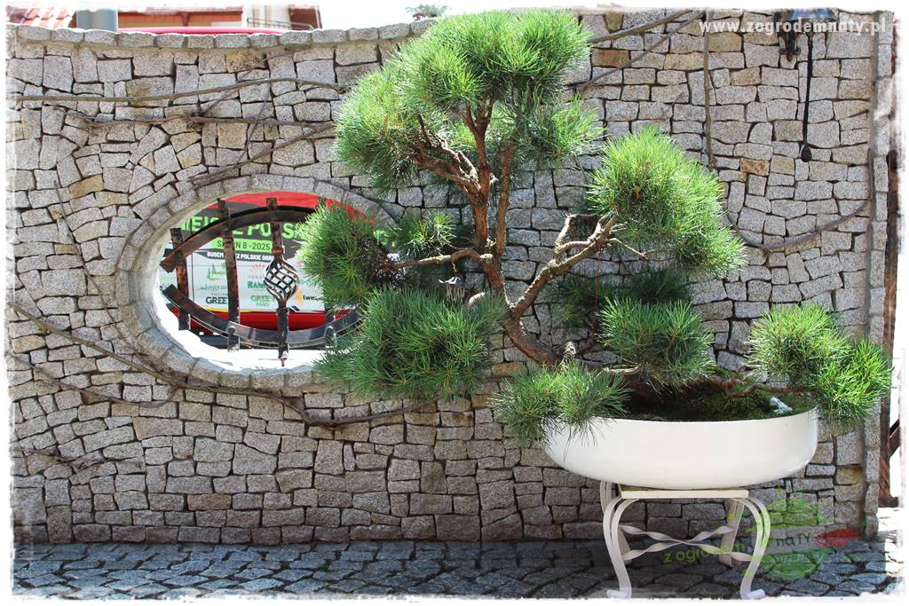 ogród polsko japoński 204