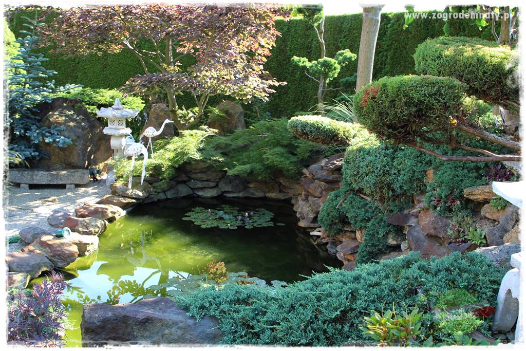 ogród polsko japoński 205