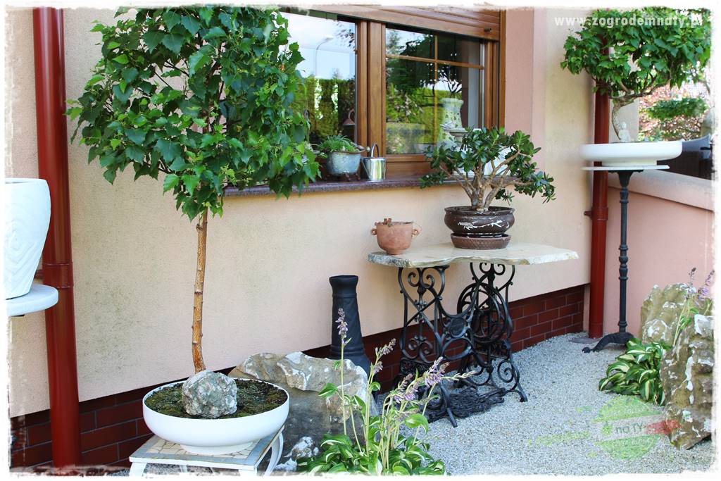 ogród polsko japoński 207