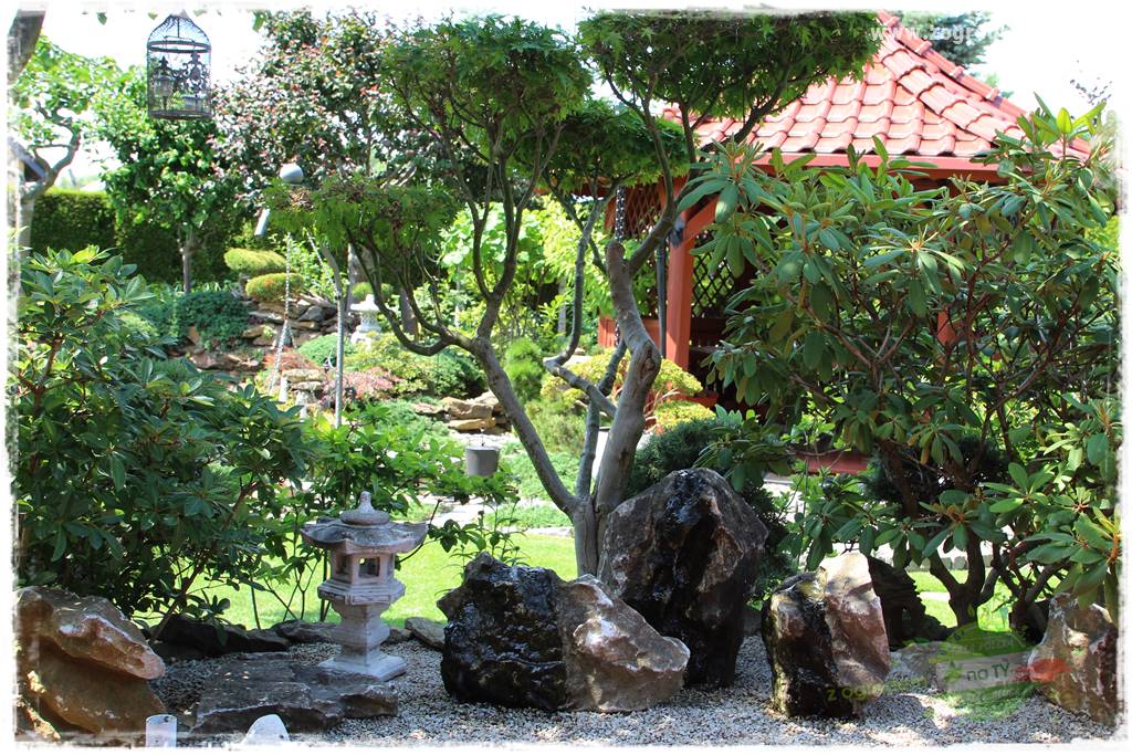 ogród polsko japoński 23