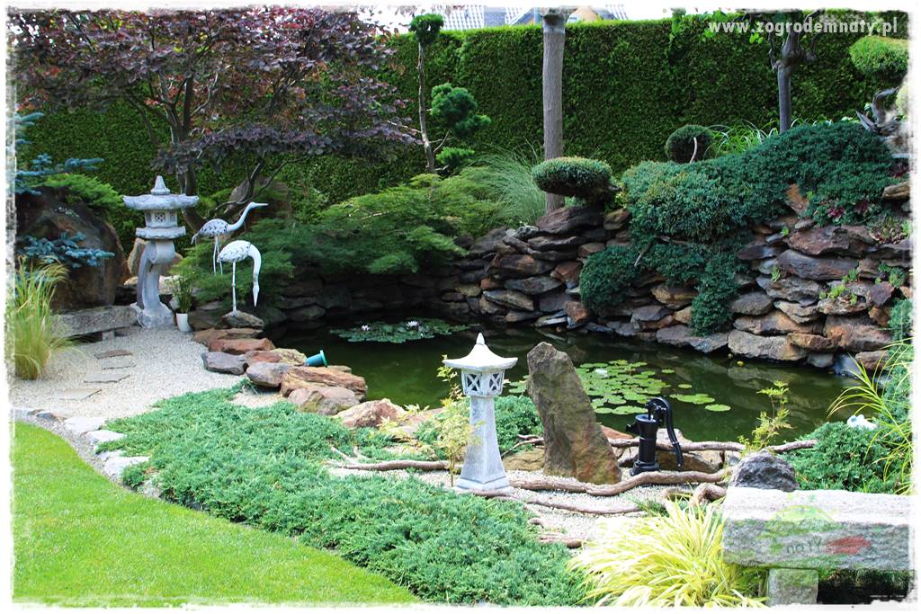 ogród polsko japoński 24