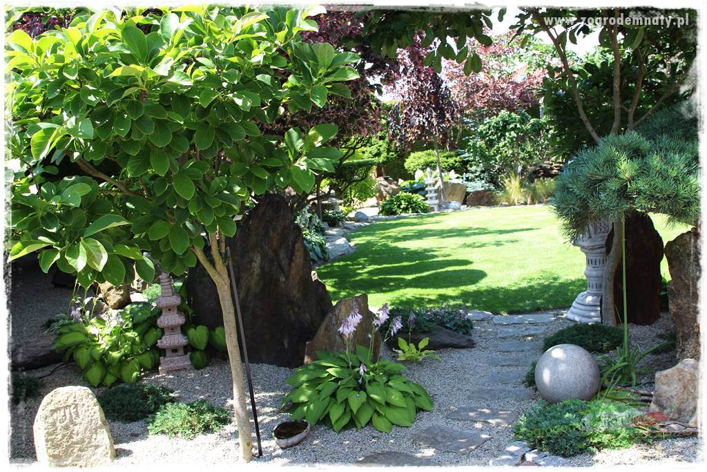 ogród polsko japoński 26