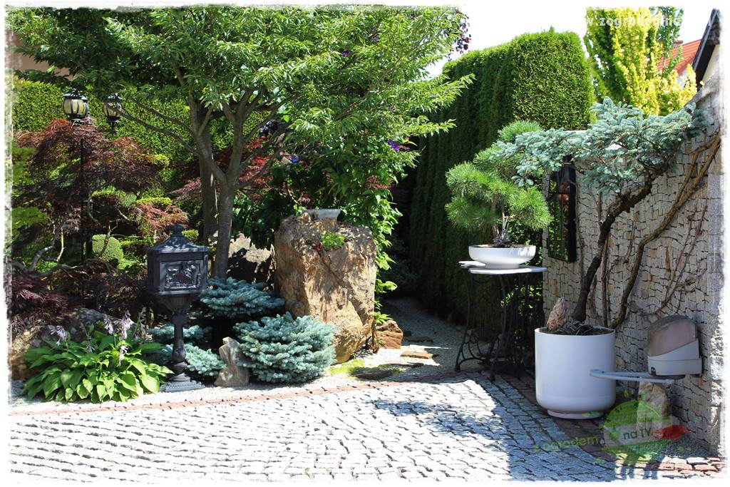 ogród polsko japoński 27