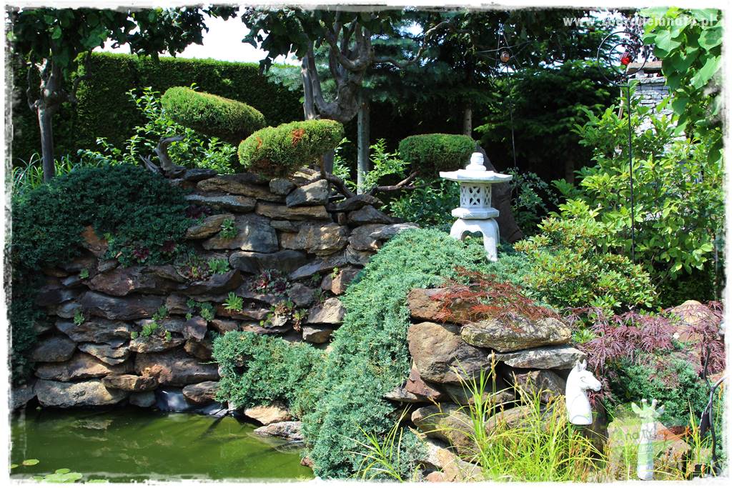 ogród polsko japoński 30