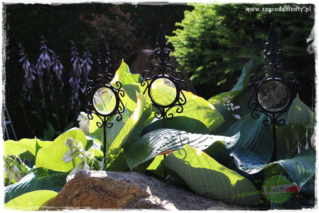 ogród polsko japoński 35