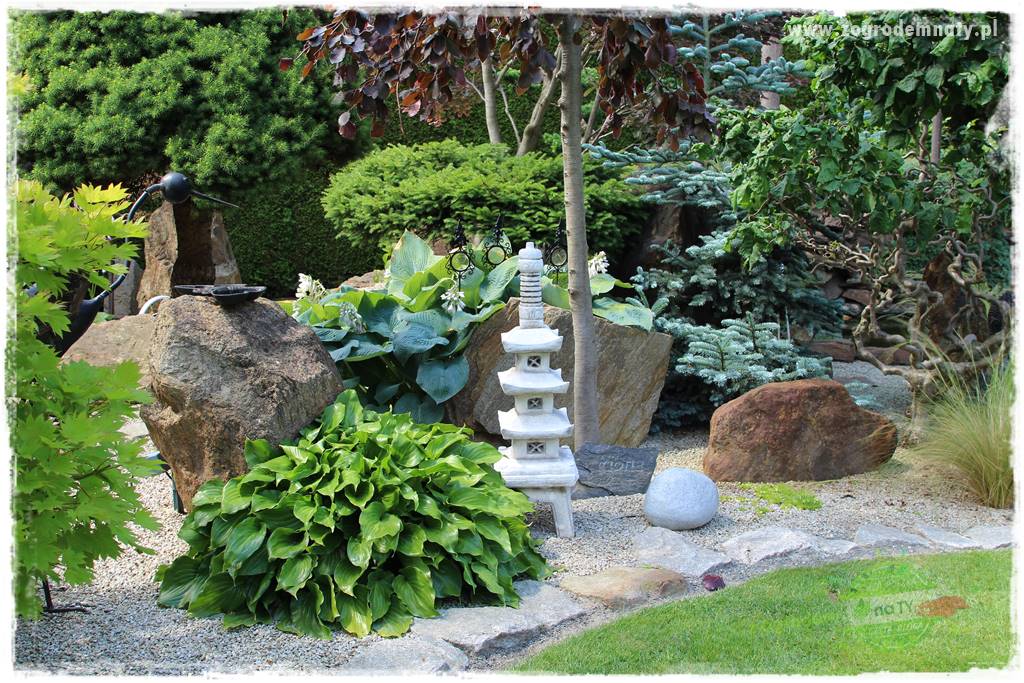 ogród polsko japoński 36