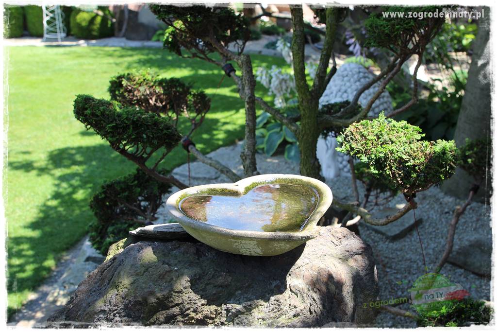 ogród polsko japoński 400