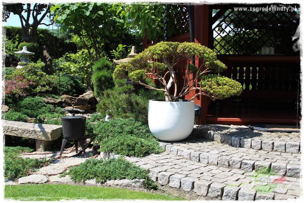 ogród polsko japoński 404