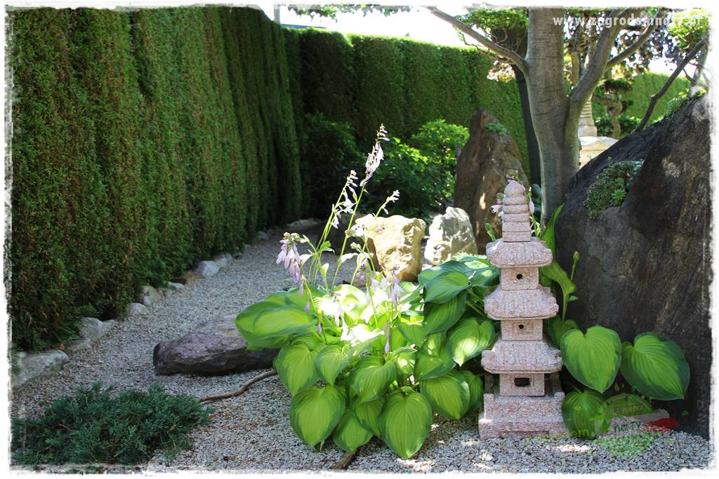 ogród polsko japoński 406