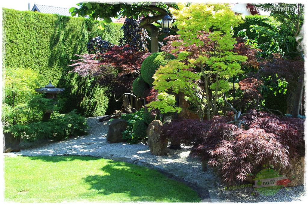 ogród polsko japoński 409