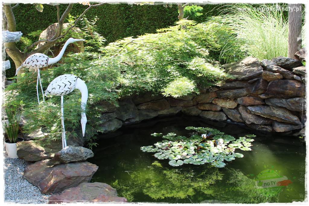ogród polsko japoński 411