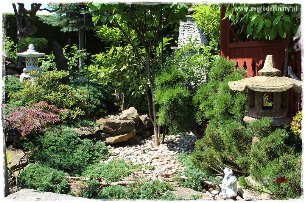 ogród polsko japoński 415