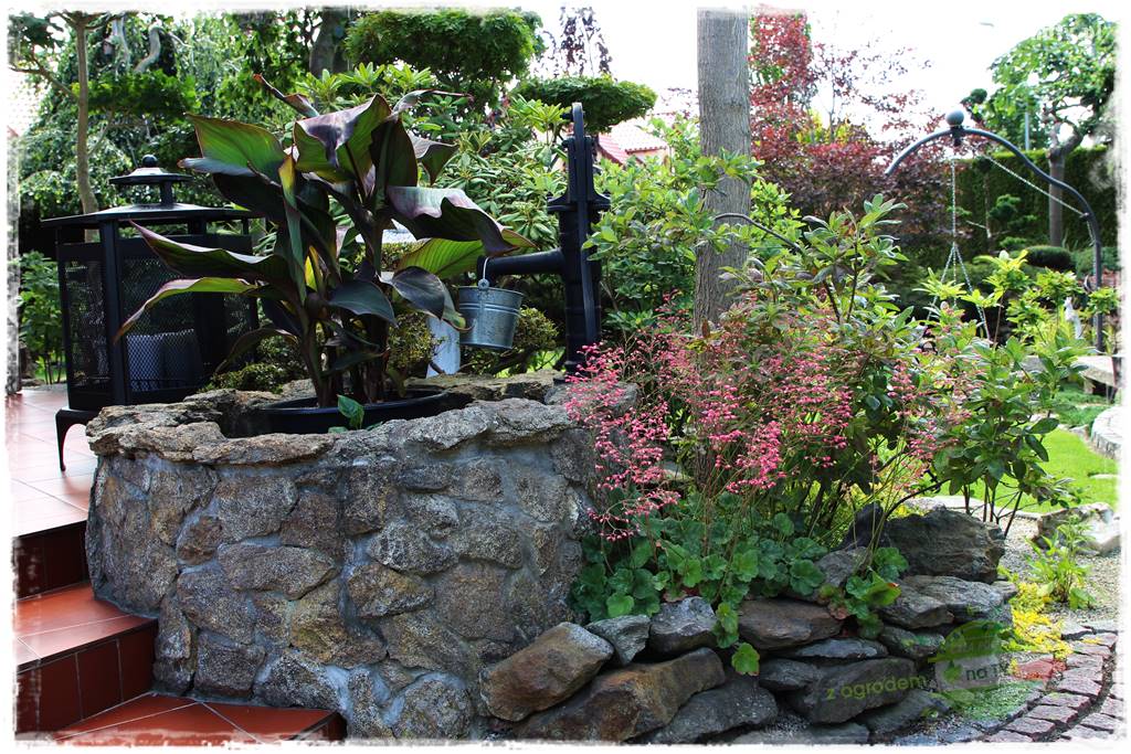 ogród polsko japoński 421