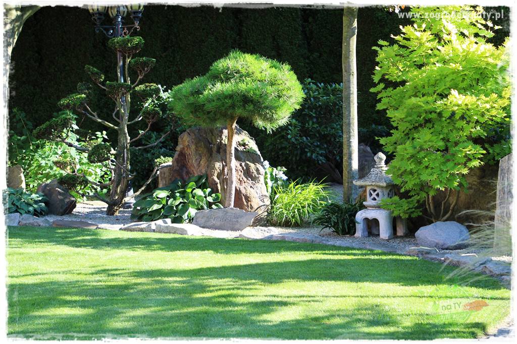 ogród polsko japoński 426