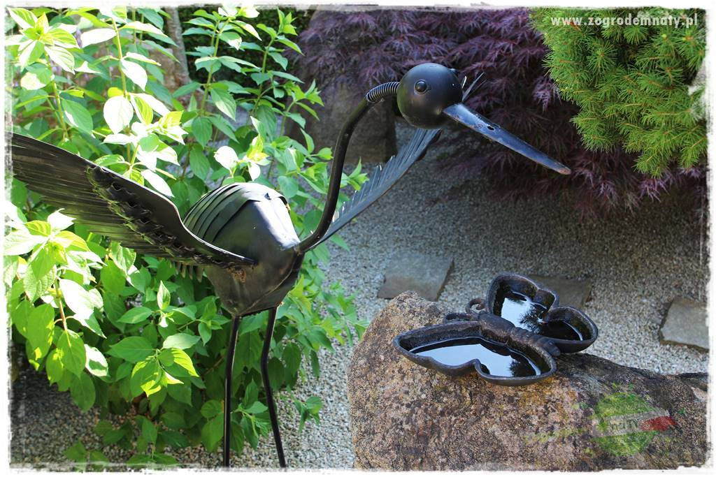 ogród polsko japoński 427