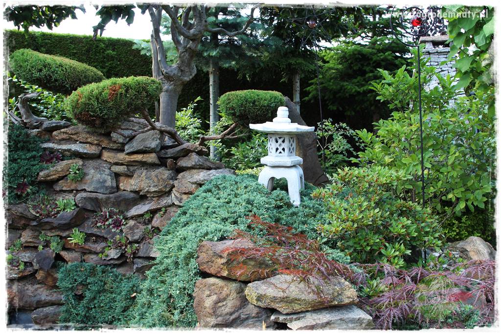 ogród polsko japoński 428