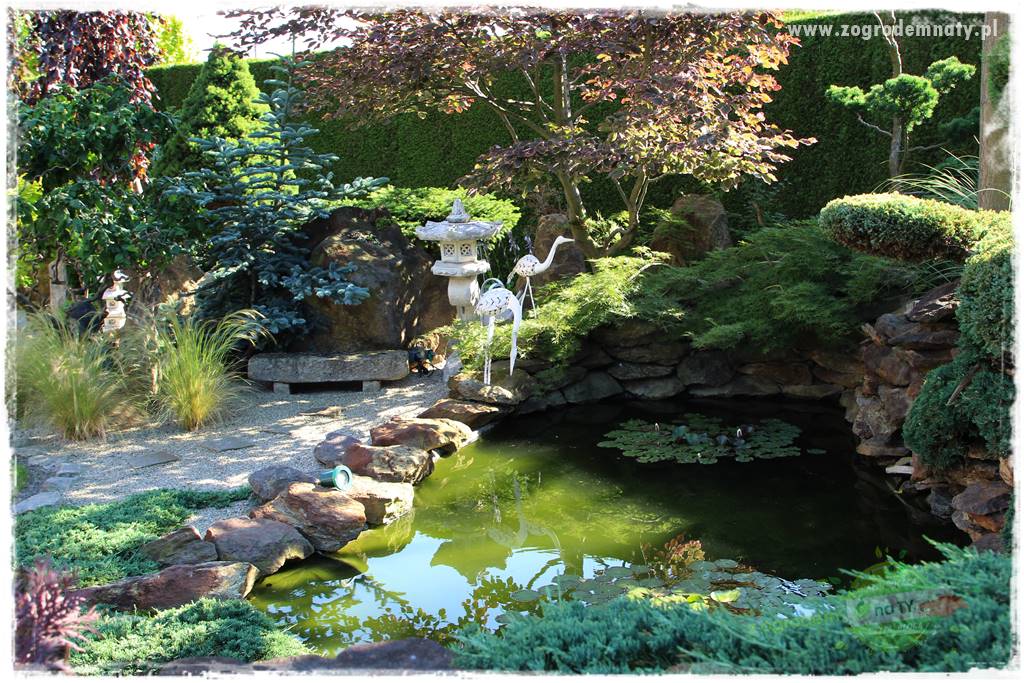 ogród polsko japoński 5
