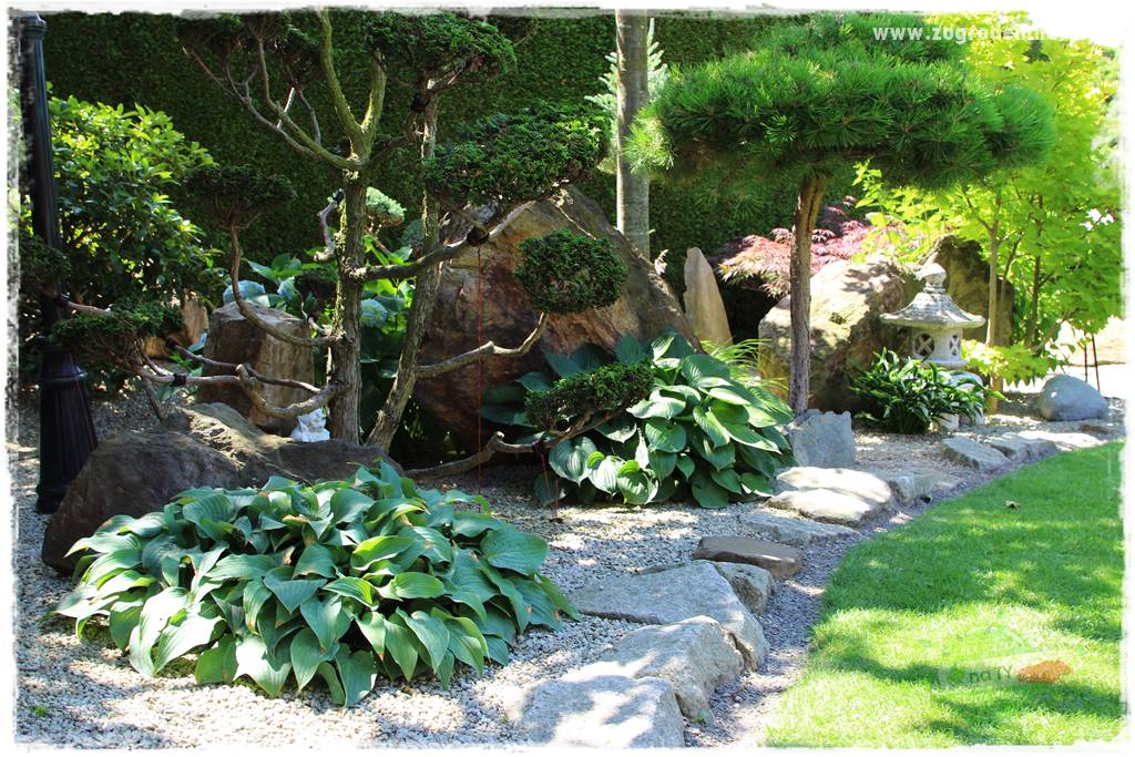 ogród polsko japoński 6