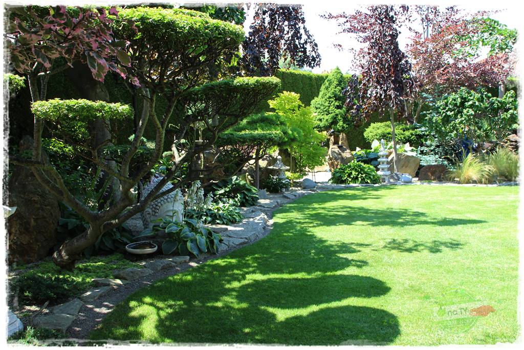 ogród polsko japoński 9