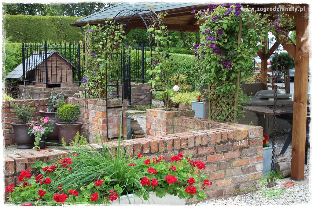 rośliny na zasadową glebę 54