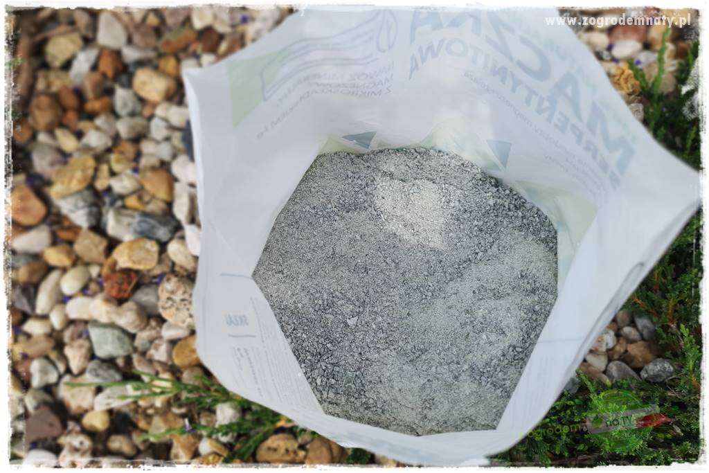 rośliny na zasadową glebę 61