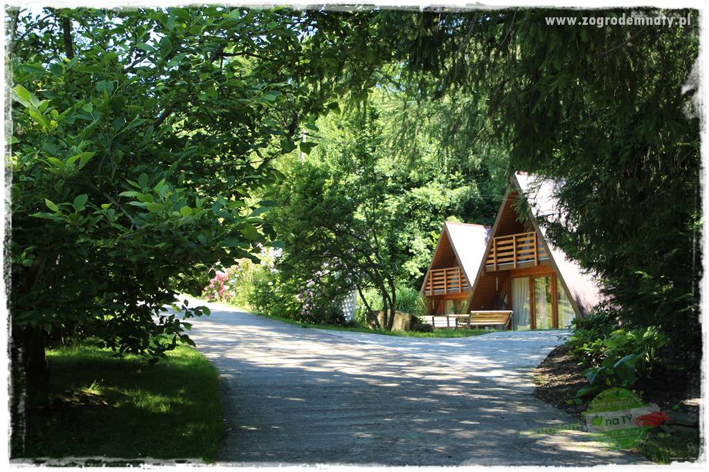różany ogród 15