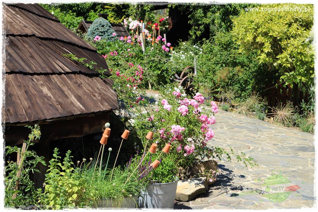 różany ogród 25