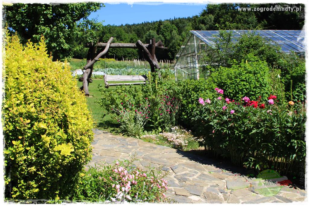 różany ogród 407