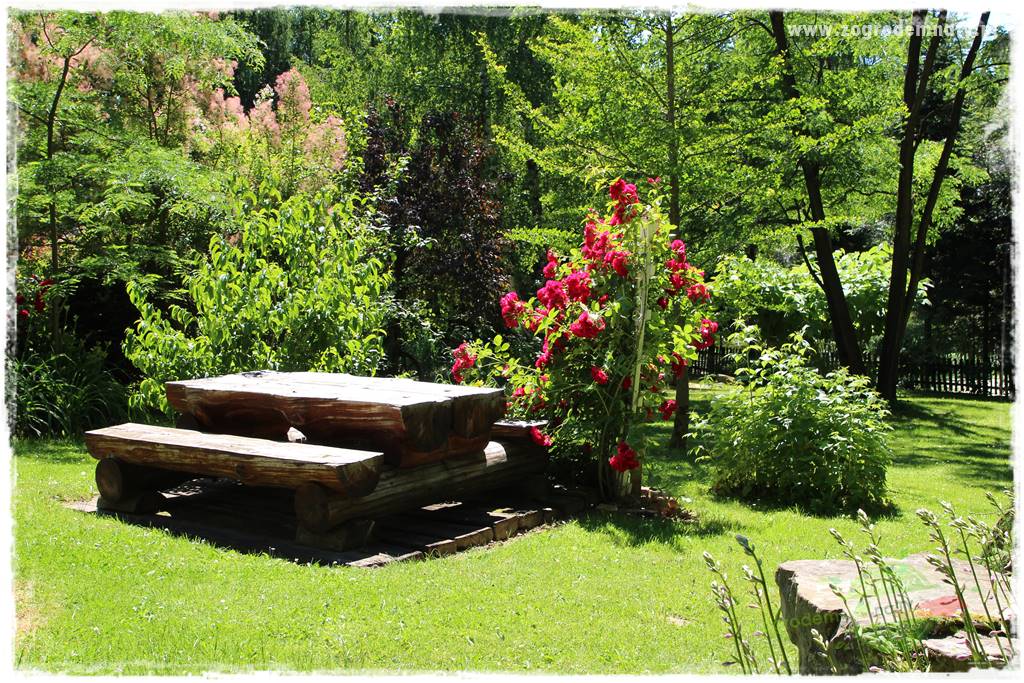 różany ogród 408