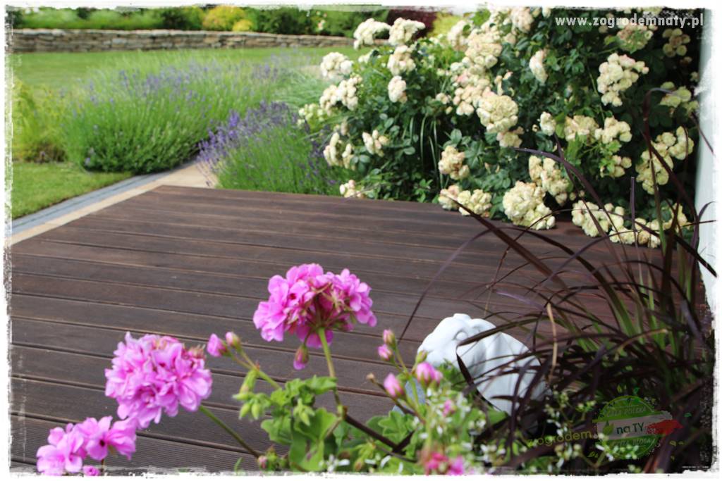 Deska podłogowa na taras 16