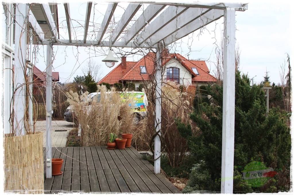 Deska podłogowa na taras 24