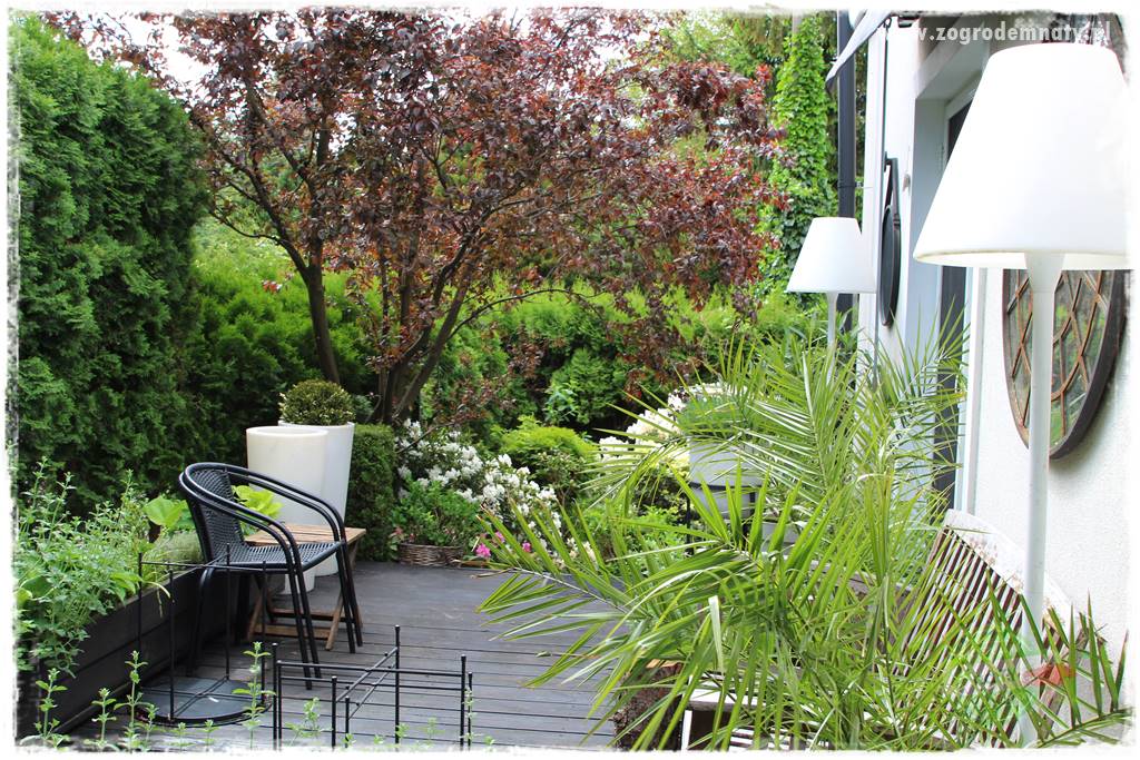 Deska podłogowa na taras 39