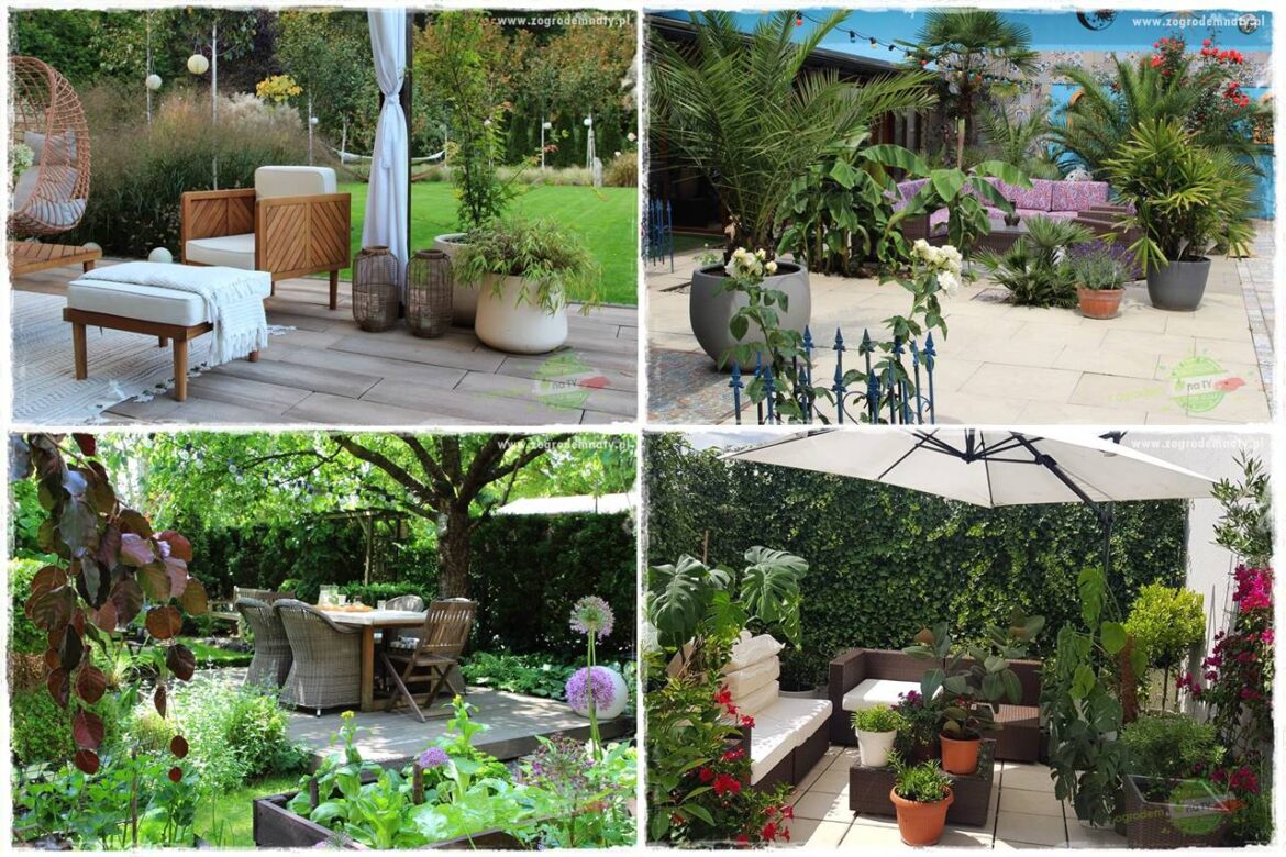 Pomysły na taras 0