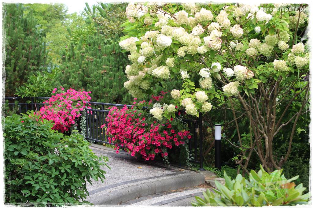 Pomysły na taras 12