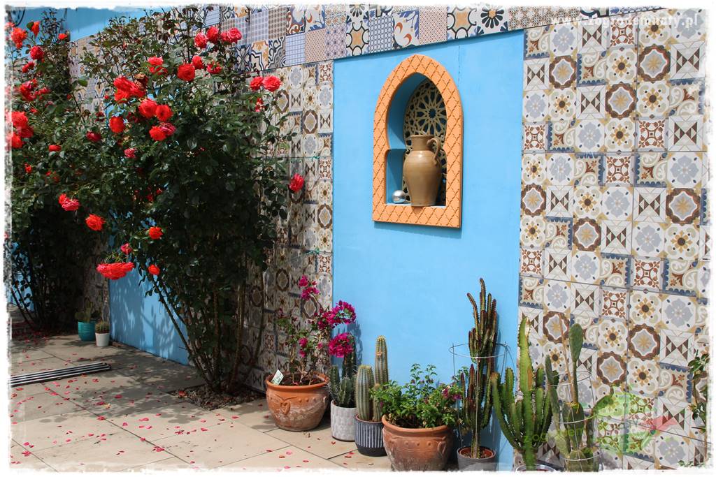 Pomysły na taras 16