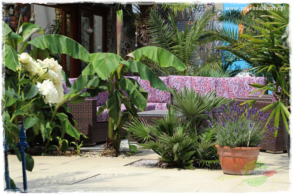 Pomysły na taras 18