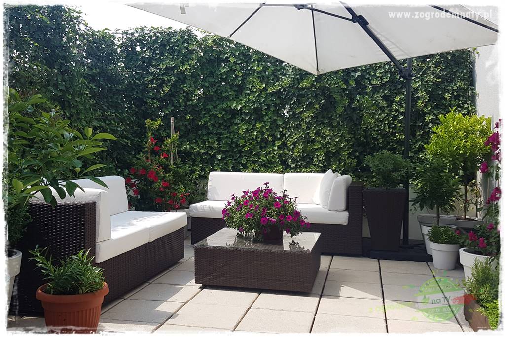 Pomysły na taras 28