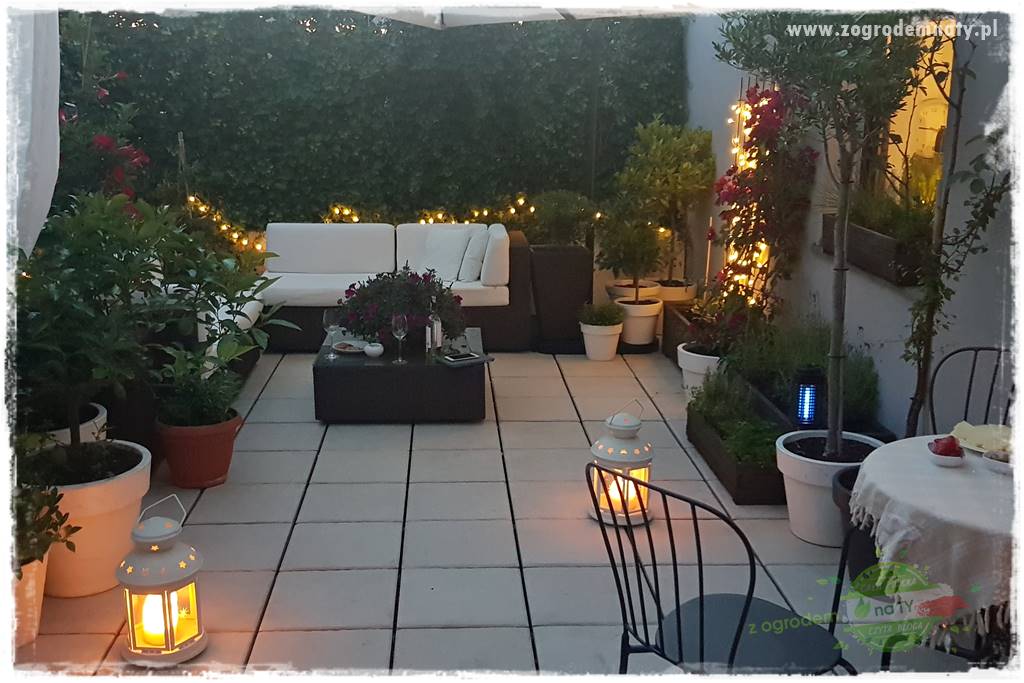 Pomysły na taras 29