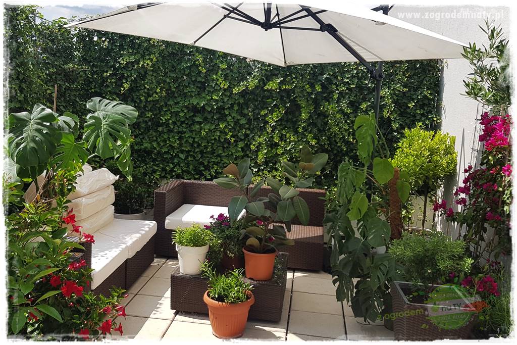 Pomysły na taras 30