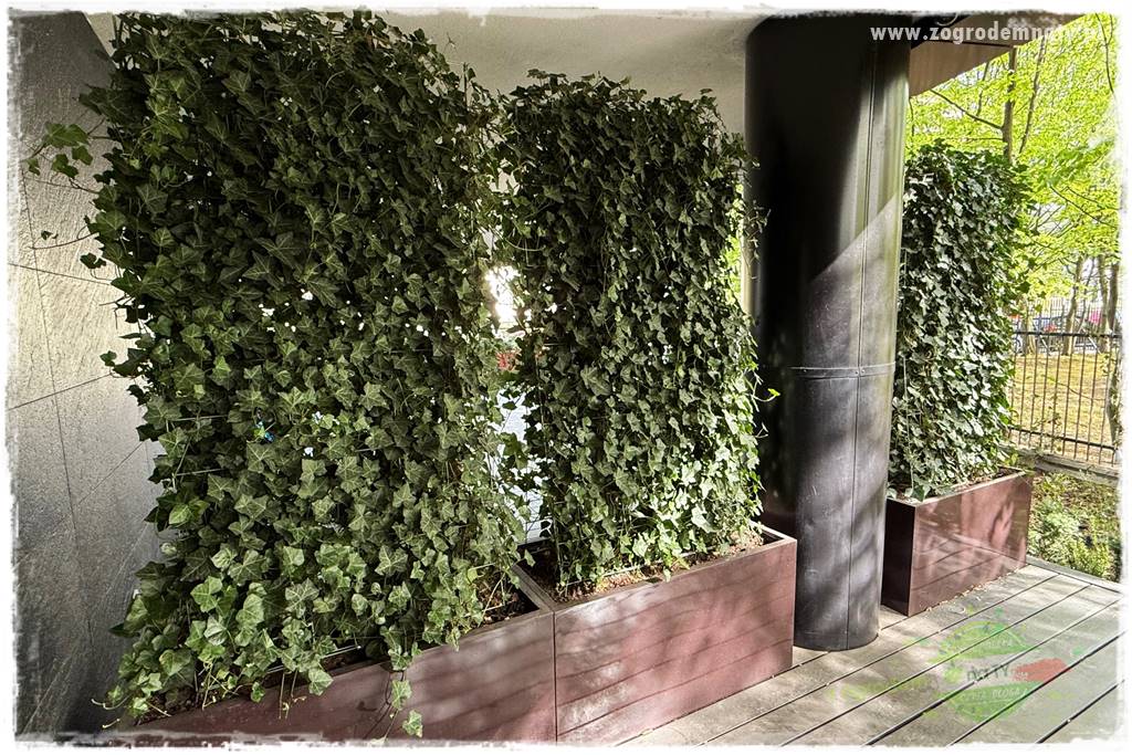 Pomysły na taras 32