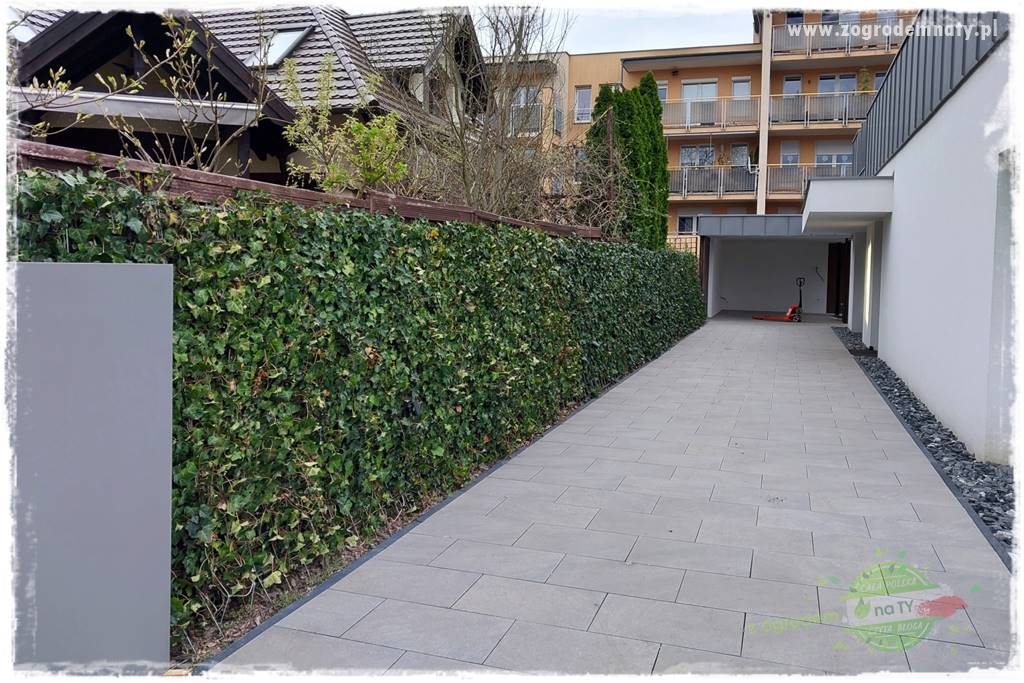 Pomysły na taras 33